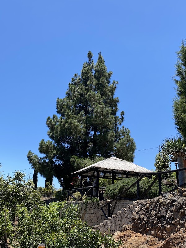 Viña Herzas