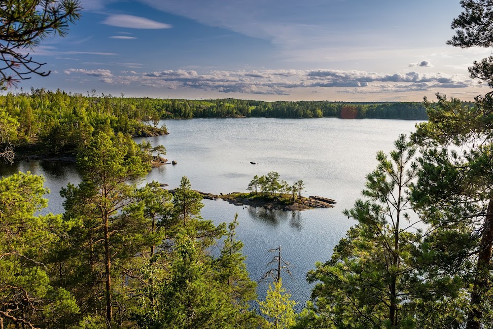 Tyresta National Park and Nature Reserve fotoğraf 1