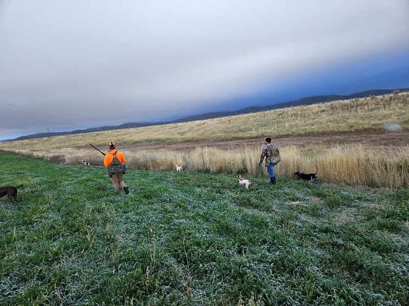 Sage Spring Ranch - Photo 1