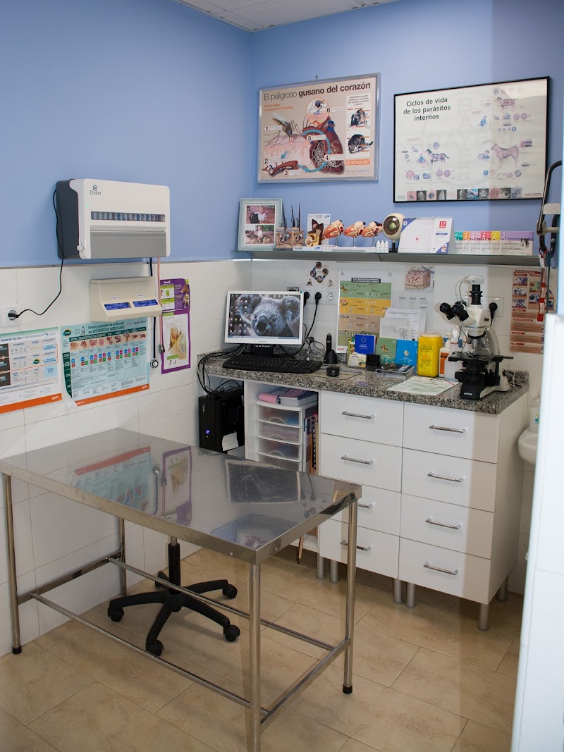 Clínica Veterinaria Adoratrices