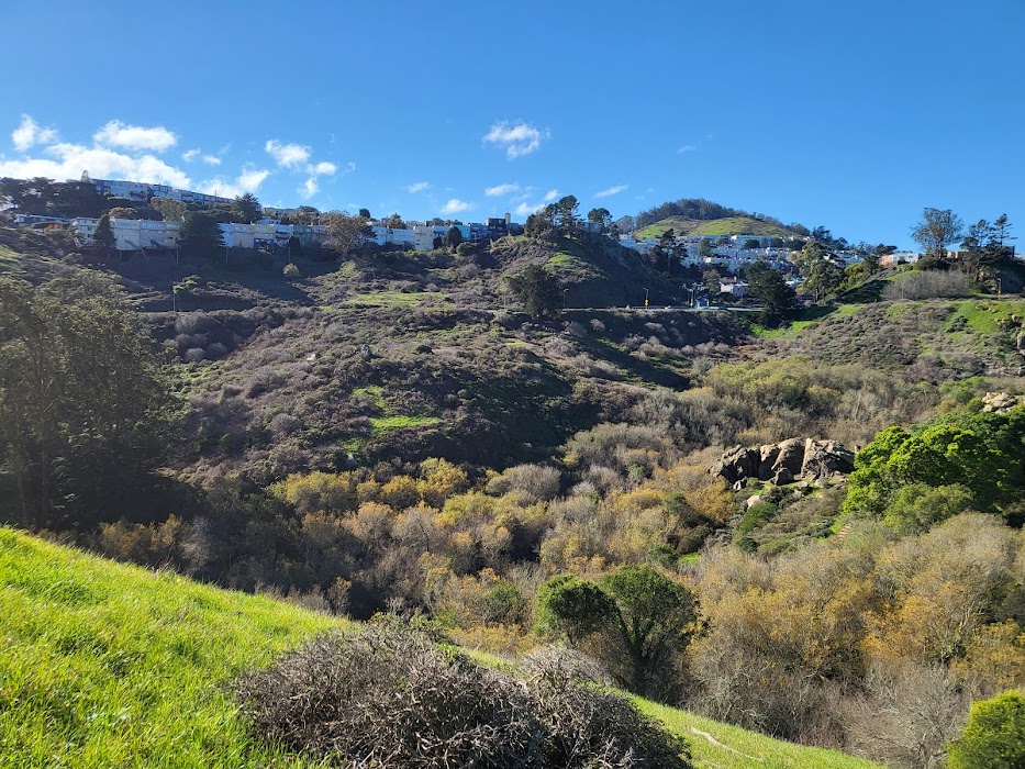 Glen Canyon Park fotoğraf 1