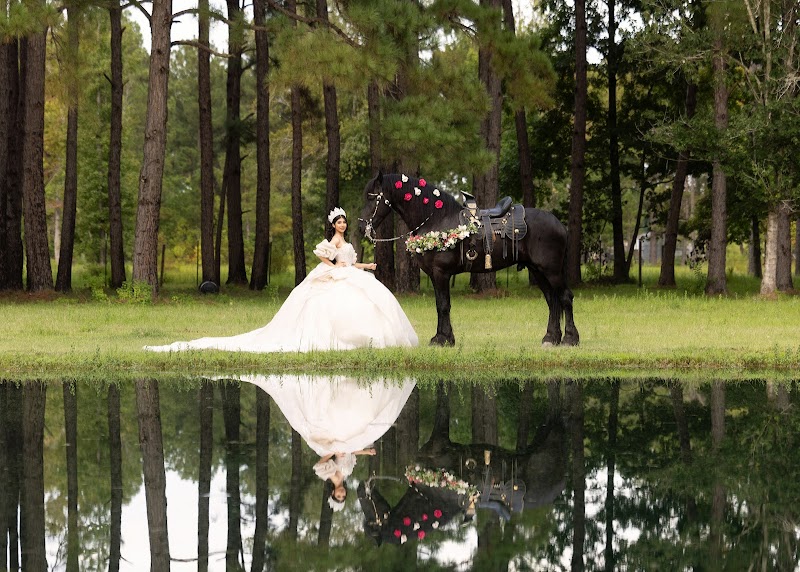Quinces & Weddings Studio