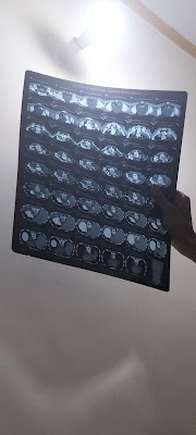 Tibetan Herbal Cancer Clinic - Image 2