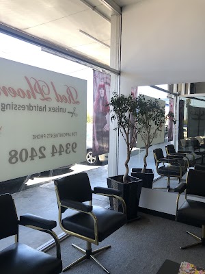 Red Phoenix Unisex Hairdressing photo 3