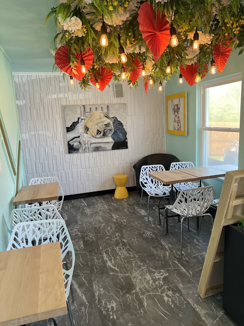 Lucky Dog Central photo 4