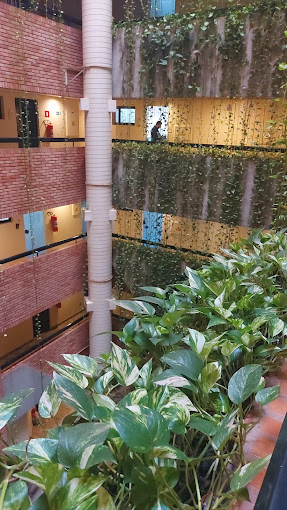 Dr. Diego Barauna - Tratamento de Canal Ribeirão - Endodelivery - foto 5