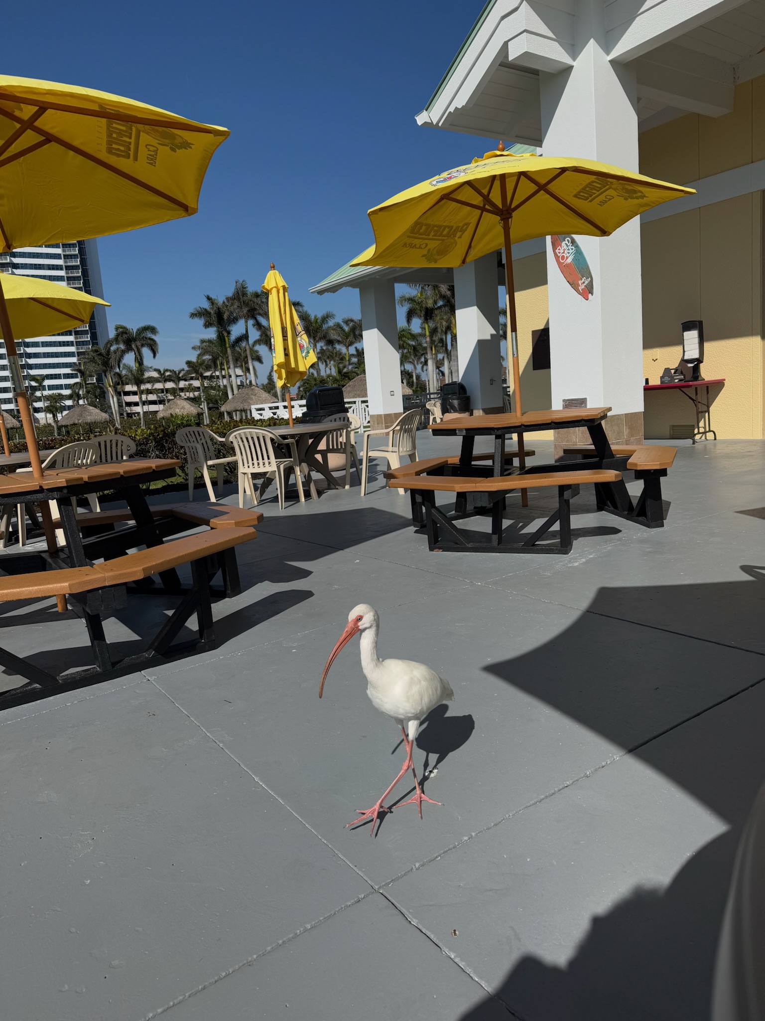 Paradise Grill