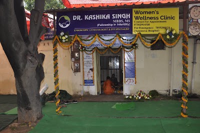 Women Wellness clinic_Best lady doctor/Best Gynaecologist /Best Obstetrician/ Best IVF Clinic - Image 3