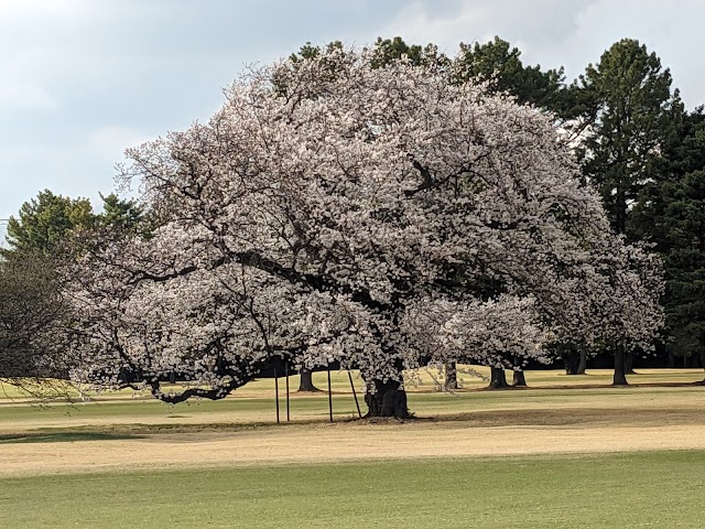 Sagami Country Club - Photo 6