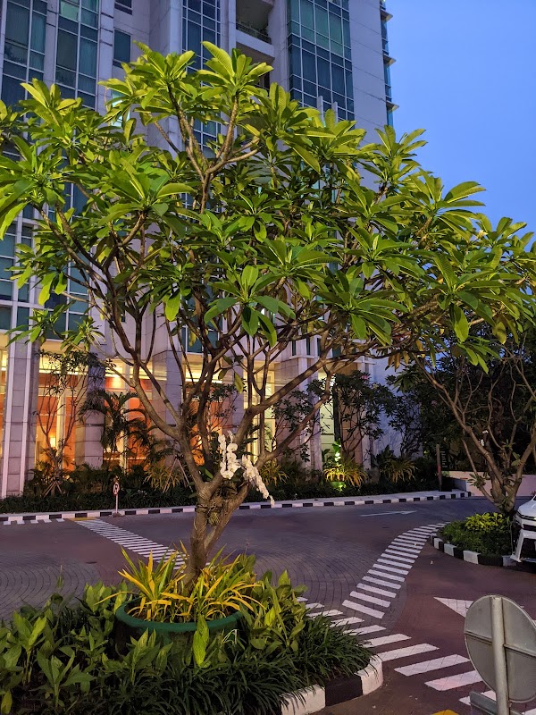The Peak at Sudirman