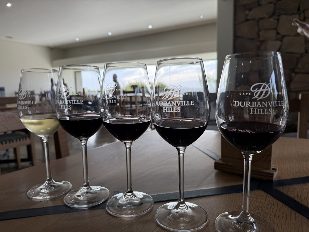 Durbanville Hills Winery