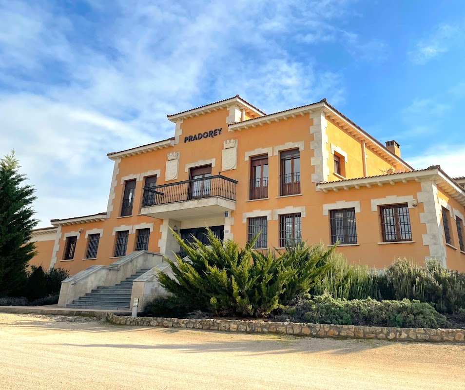 Bodega y Viñedos Pradorey
