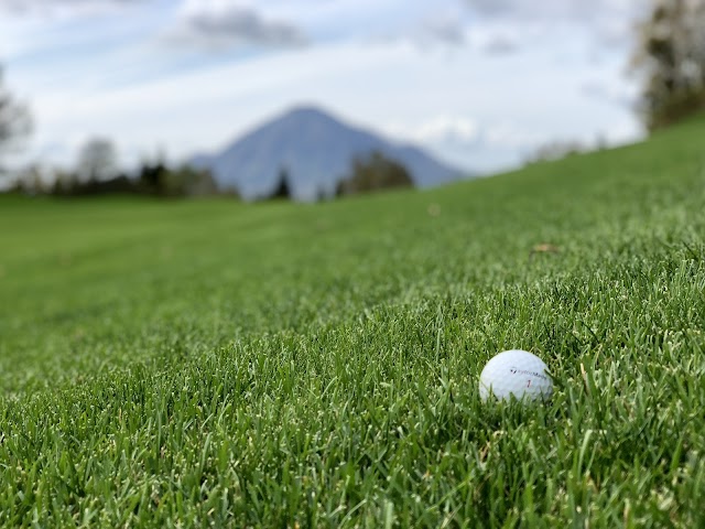 Ichitachi International Private Golf Club - Photo 7