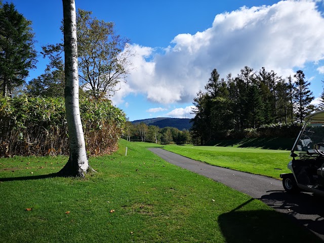 Ichitachi International Private Golf Club - Photo 6