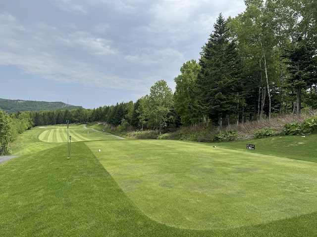 Ichitachi International Private Golf Club - Photo 2