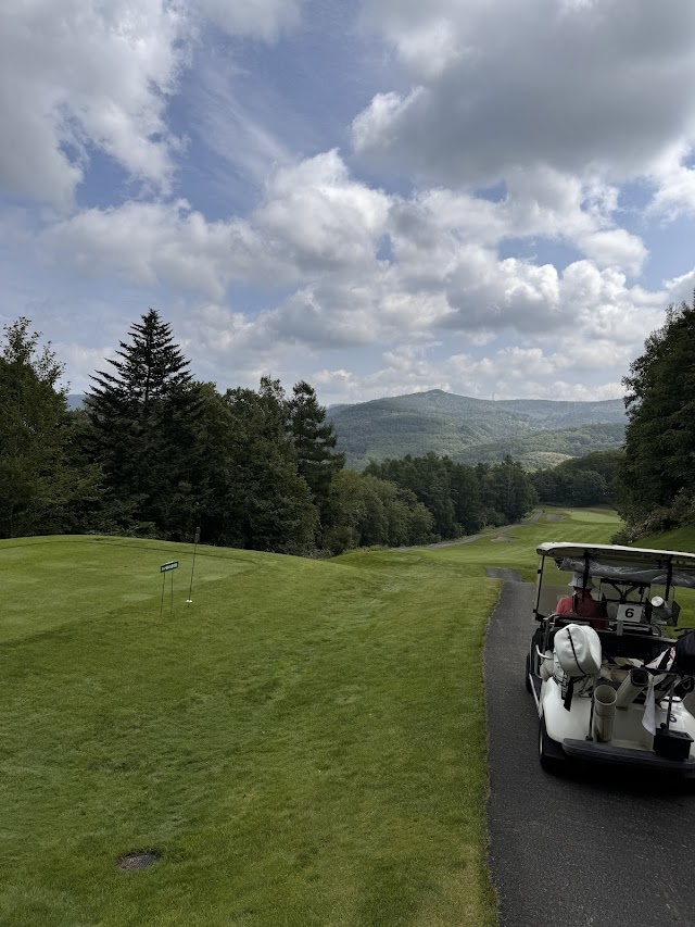 Ichitachi International Private Golf Club - Photo 4