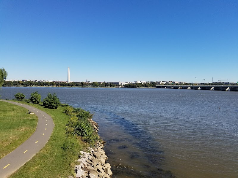 Columbia Island Marina photo 4