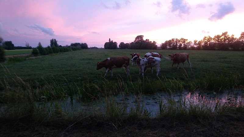 Park Mijzijde