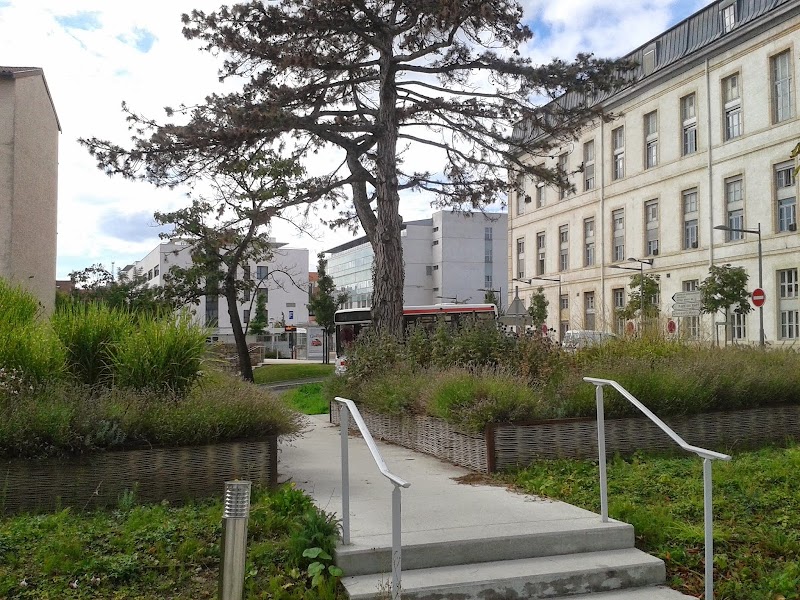 Hôpital de la Croix-Rousse - HCL