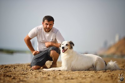 ליאל קלר | Half Dog