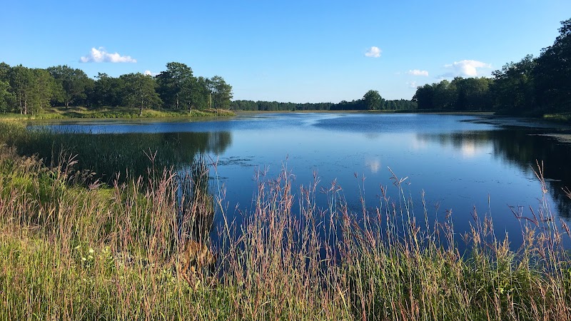 Wilderness Ranch - Photo 1