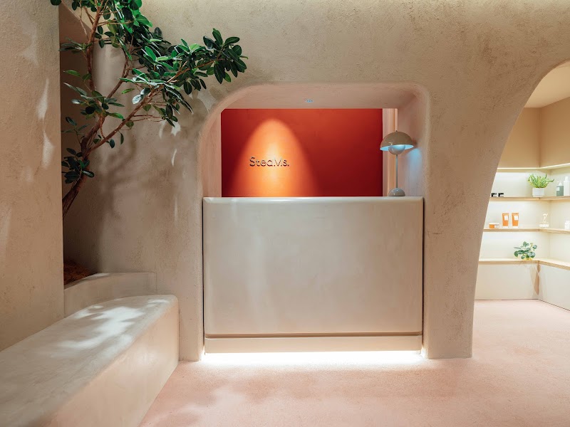トリートメントサウナSteaMs.スティーミズ