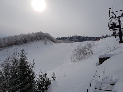 Shiga Kogen Giant Ski Area - 3