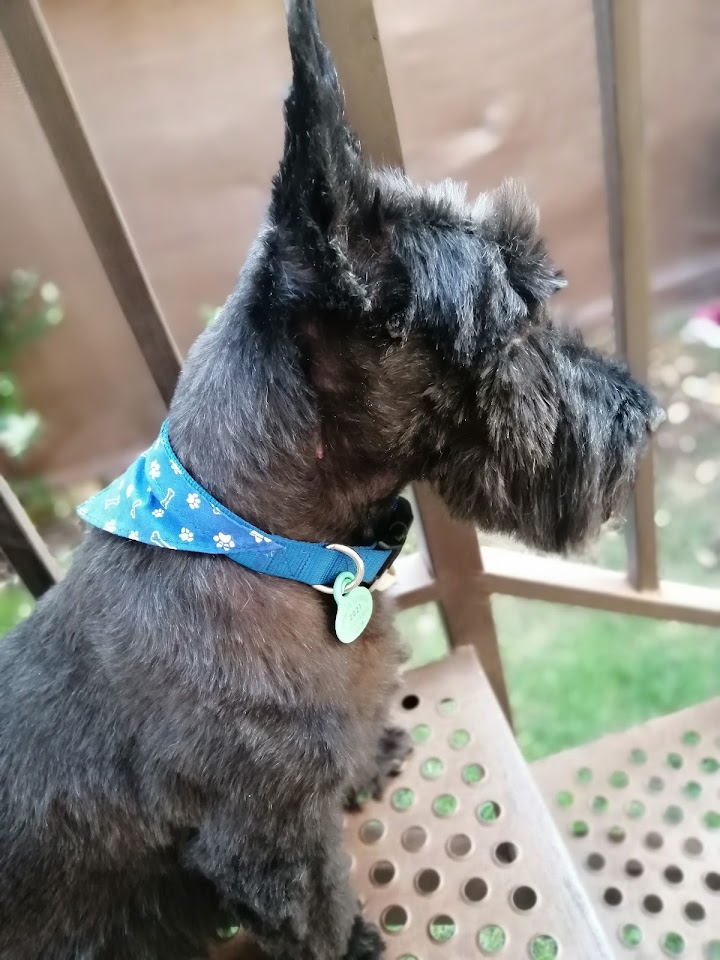 Clínica Veterinaria Sana Sana