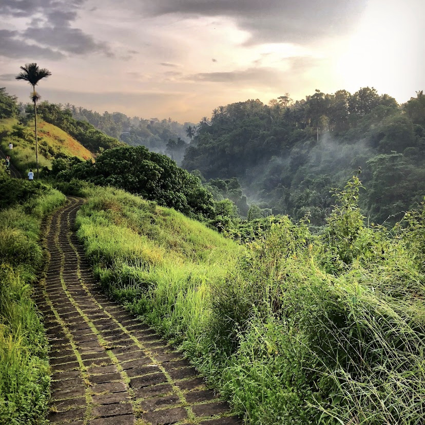 Campuhan Ridge Walk