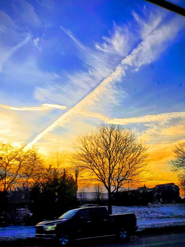 Lincoln Park photo 5