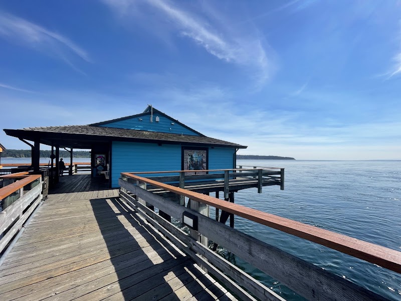 Discovery Fishing Pier Ice Cream Shop photo 3