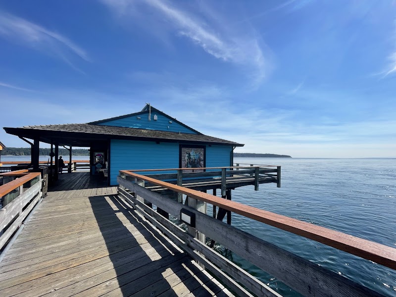 Discovery Fishing Pier Ice Cream Shop photo 3