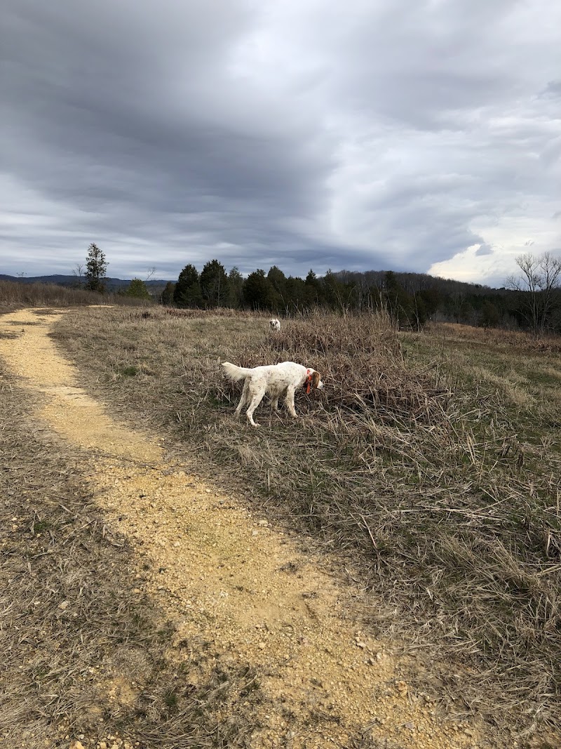 Lookout Creek Farms - Photo 1