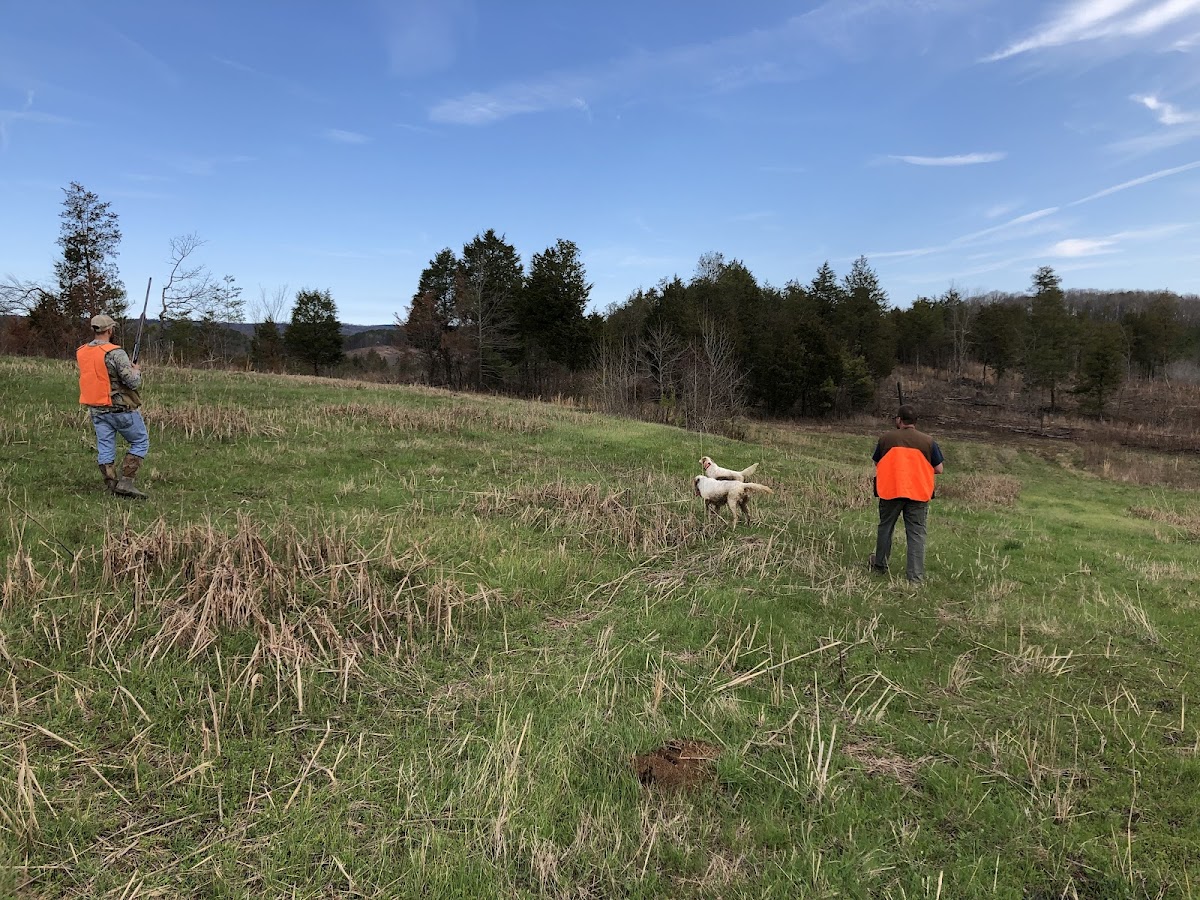 Lookout Creek Farms