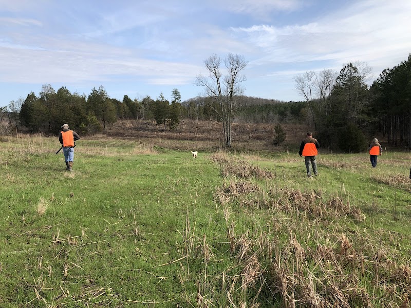 Lookout Creek Farms - Photo 4