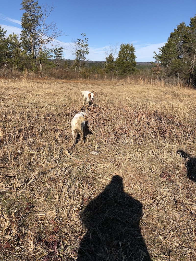 Lookout Creek Farms - Photo 2