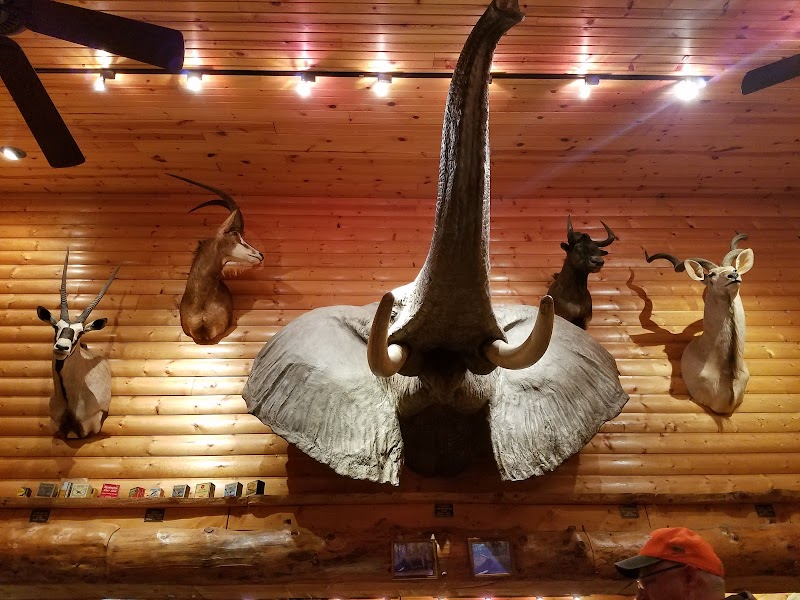 Traxler's Hunting Preserve - Photo 2