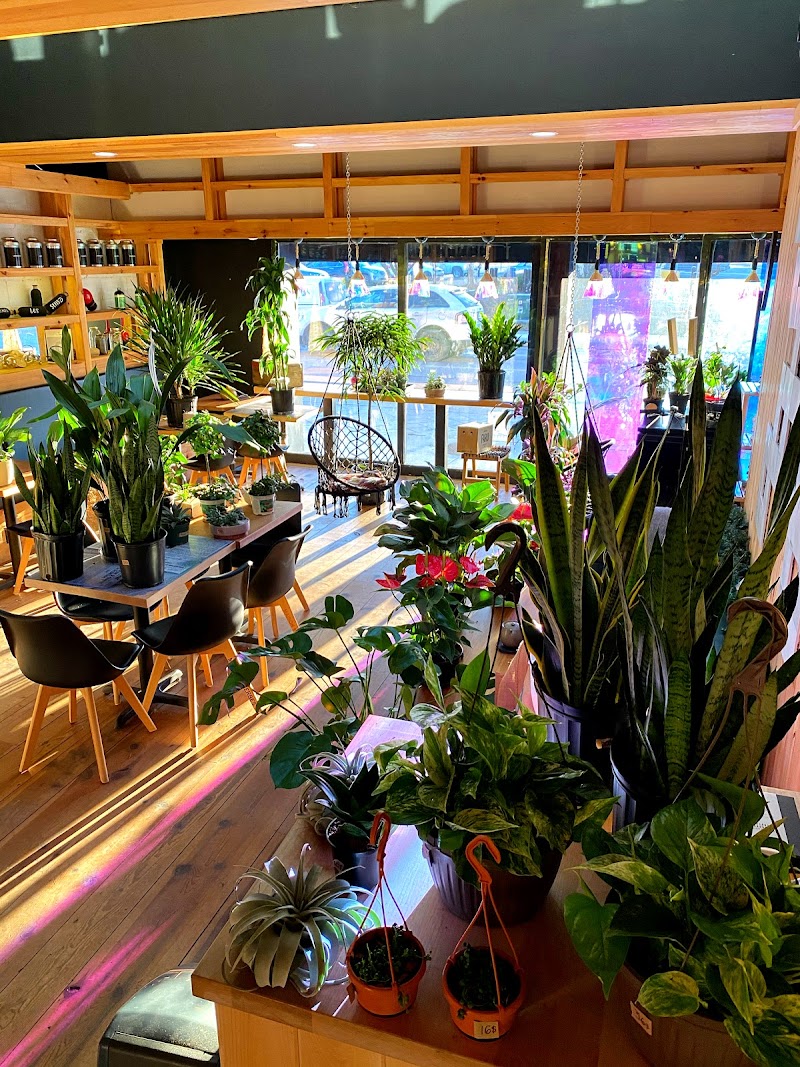 Maison d'Herbes photo 4