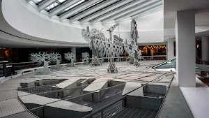 Musée d'art contemporain de Montréal