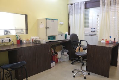 Dr. Somya Sinha - Image 3