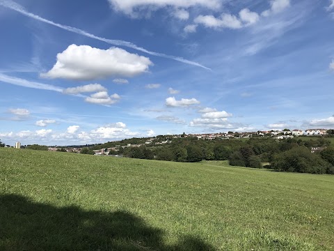 Manor Woods Valley in Bedminster Down, Bristol
