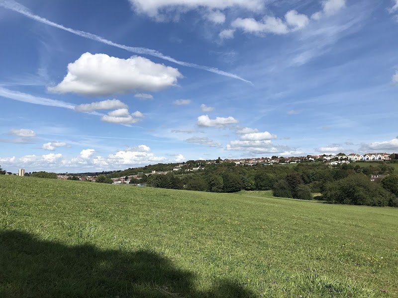 Manor Woods Valley in Bedminster Down, Bristol