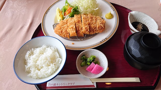 Ashinoko Country Club - Photo 8