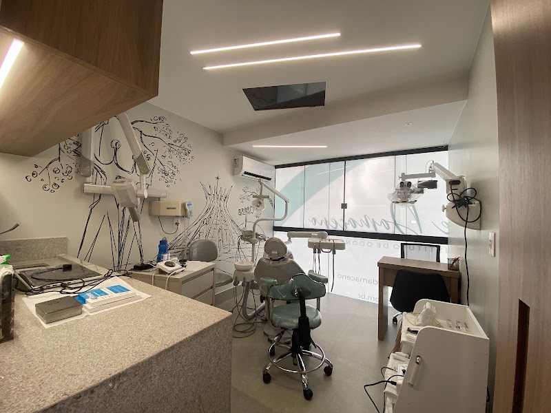 Instituto de Odontologia Táuge Damaceno - Asa Sul - foto 4