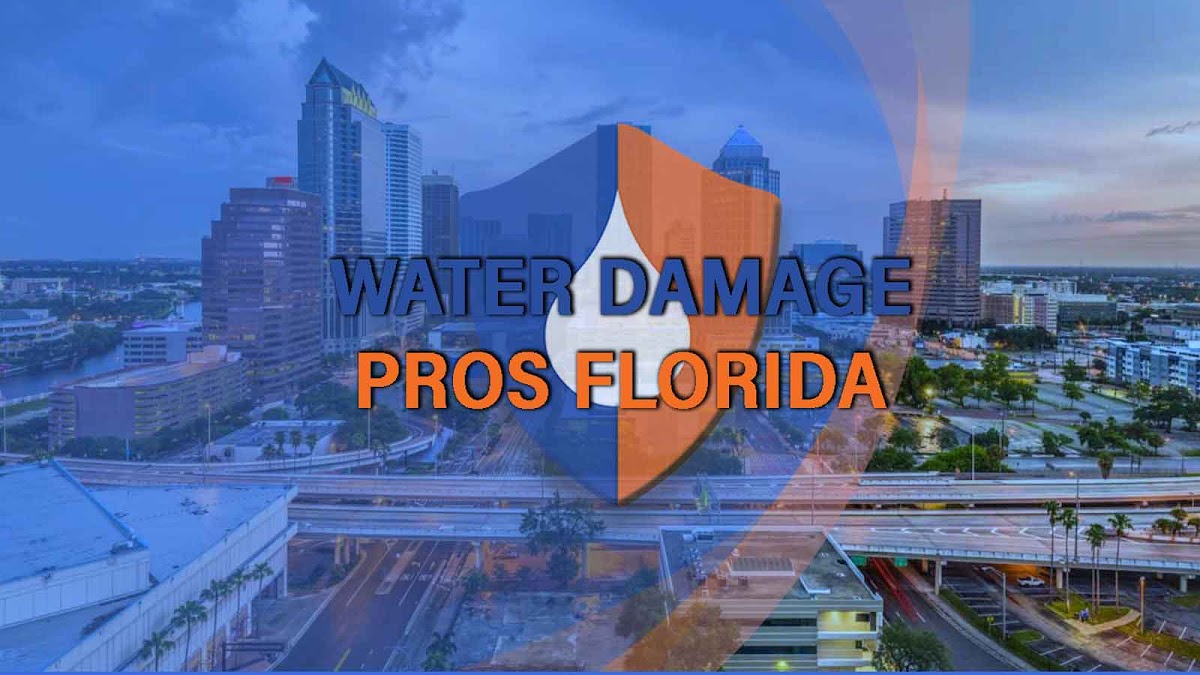 Water Damage Pros FL — photo
