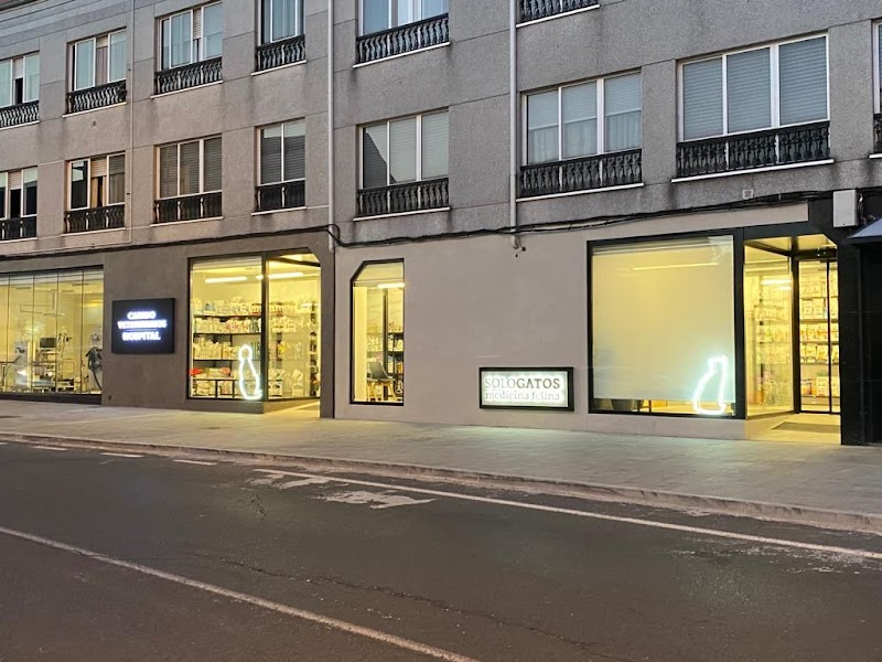 SOLOGATOS - AniCura Canido Clínica Veterinaria photo 2