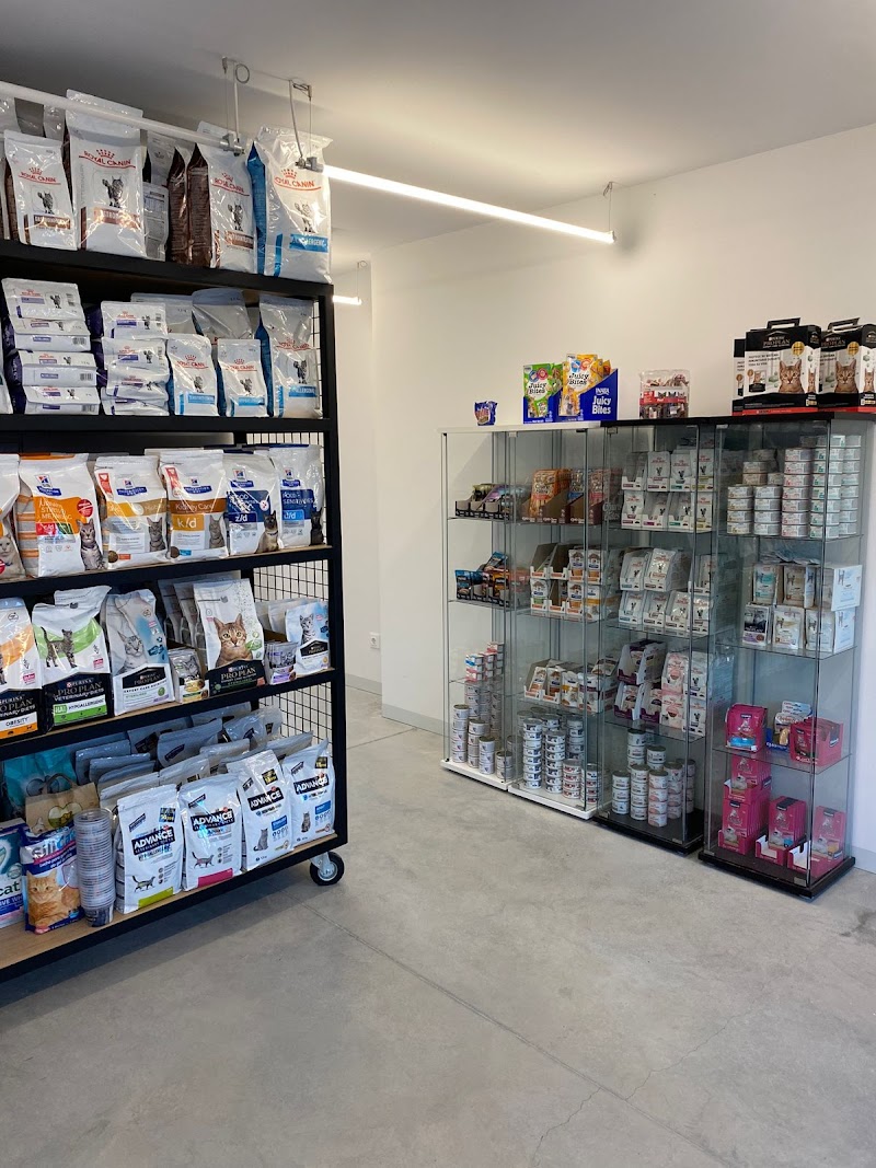 SOLOGATOS - AniCura Canido Clínica Veterinaria photo 1