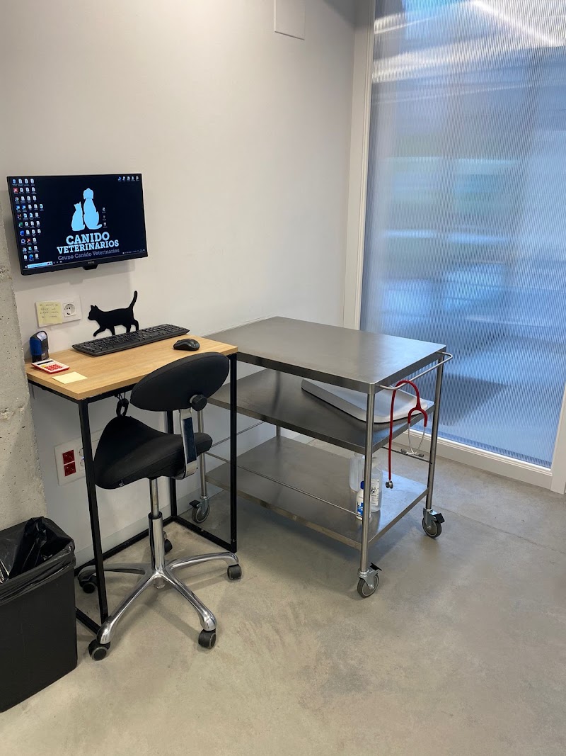 SOLOGATOS - AniCura Canido Clínica Veterinaria photo 4