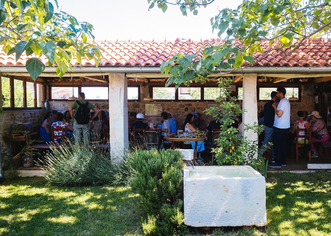 Wine Tasting Brac
