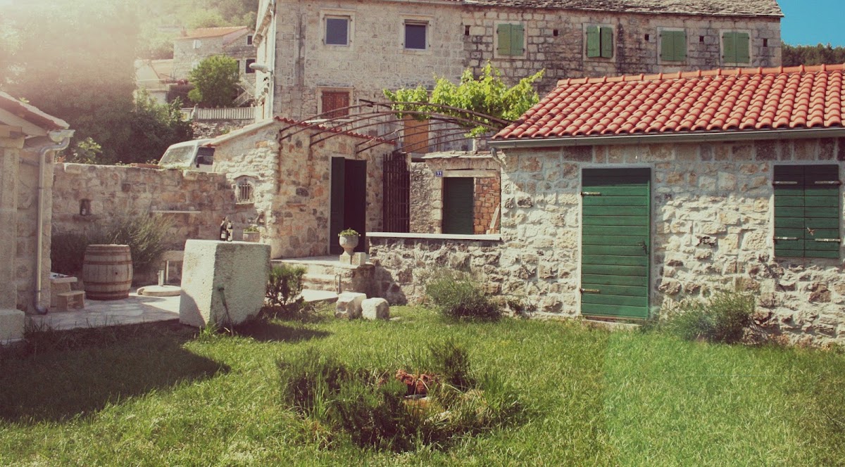 Wine Tasting Brac